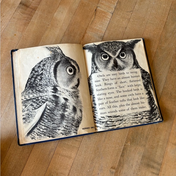 Vintage 60’s Owl Book - Picture 4 of 13
